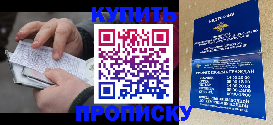 временная регистрация недорого в Новом Осколе